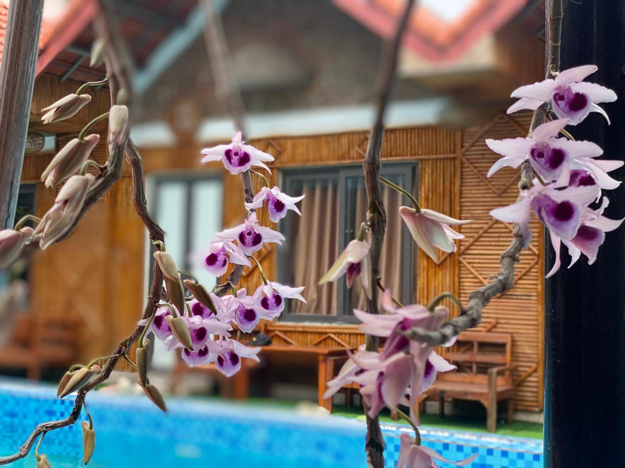 Bed and Breakfast Tam Coc Charming Bungalow à Ninh Bình Extérieur photo