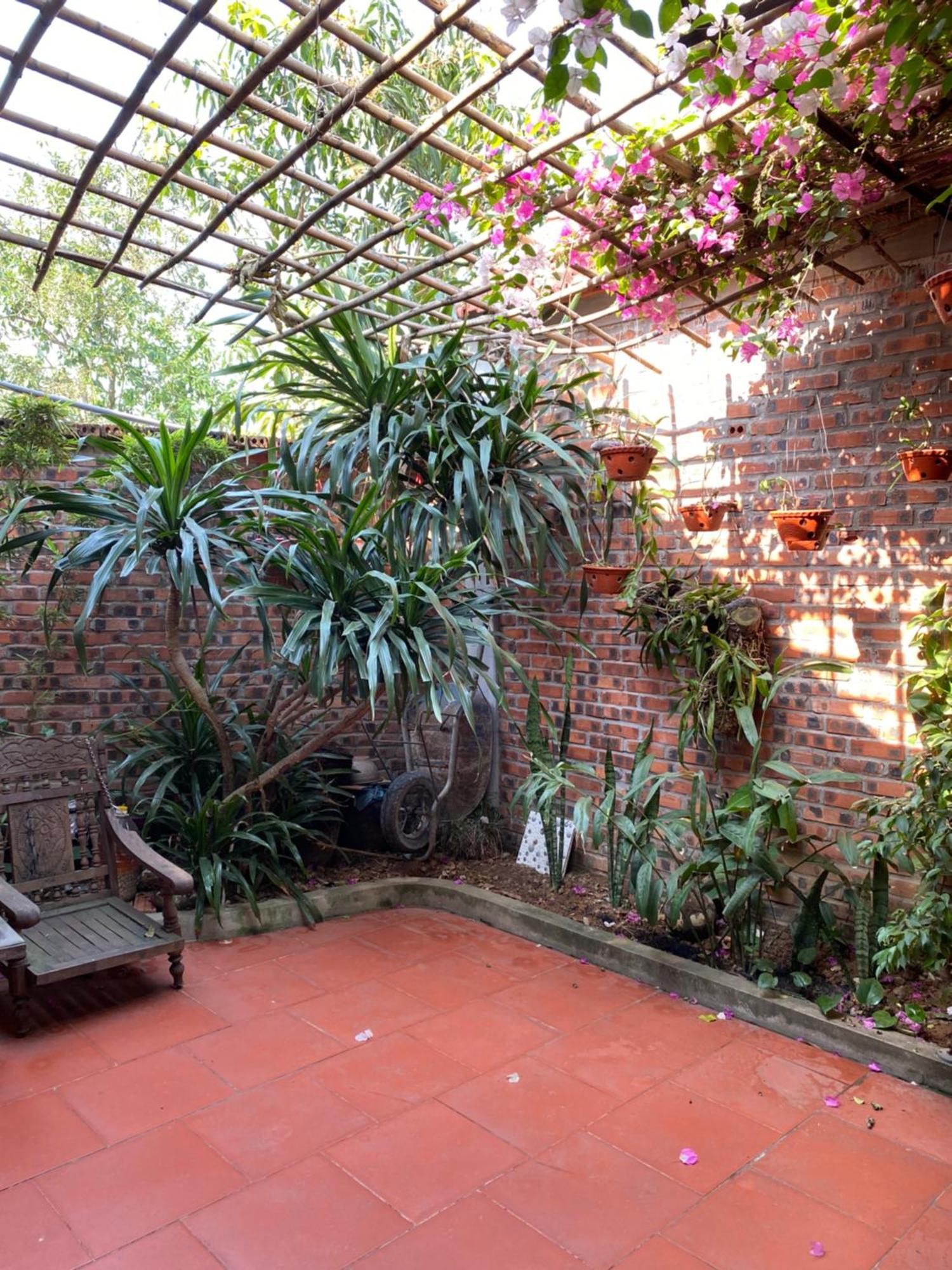 Tam Coc Charming Bungalow Ninh Bình Extérieur photo