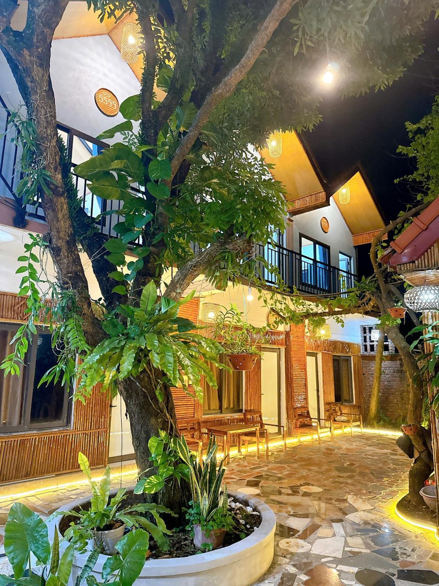 Tam Coc Charming Bungalow Ninh Bình Extérieur photo